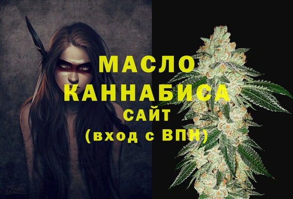 индика Беломорск