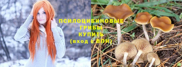 индика Беломорск