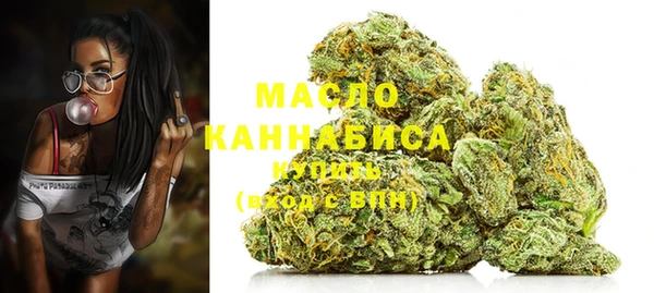 индика Беломорск