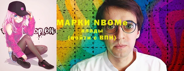 индика Беломорск