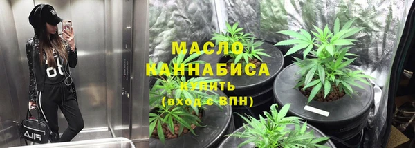 индика Беломорск